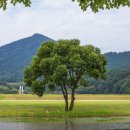 미륵사지 관광안내소 이미지