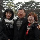 임실치즈피자가호점 Daum카페