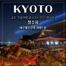 천일오토 | 교토여행 필수코스 청수사 야간개장 단풍 라이트업 후기
