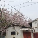 이화마을 경로당 이미지