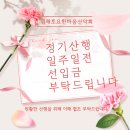 제430차 2024.6.22(토) 충북 보은 속리산/산행 신청방~♬ 이미지