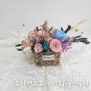 친환경 바구니짜기(심화) | [가든 앤 플라워] 프리저브드 플라워 꽃바구니 만들기