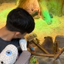 보아비양 | 부산 5개월 아기와 갈만한곳 명지 실내동물원 라라쥬