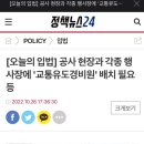 교통유도경비원 도입 입법. 이미지