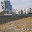 비에스디앤씨