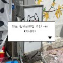 6167 | 부산 전포맛집, 분위기부터 찐인 전포 일본라멘집 솔직후기 [카네다]