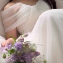 예비부부 필독! 스드메(스튜디오/드레스/메이크업) 선택 꿀팁 7가지 | 결혼 준비