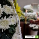 오산 장례식장 정보, 쉴낙원오산동탄장례식장 후기