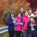 가족나들이 이미지