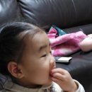 오직족발만 이미지