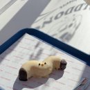 월드밸리상가 | 잘 묵호 갑니다 (묵호 뚜벅이 혼여행 / 필름 투어)