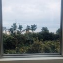 동홍동 1303-1 | [제주여행][제주여행 일정:3일차] 정방폭포-카페’아일랜드 라디오’-보말칼국수 ‘부에난소라’-큰엉...