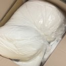 화이트 독 | 화이트리퍼블릭 강아지침대 헨리더독 애견호텔 침구세트 후기