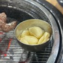 은행나무 갈매기 이미지