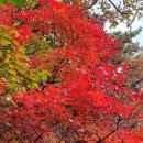 정애학교 이미지