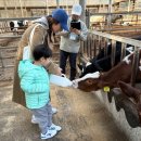 샛별농장 | 아이와 엄마가 모산목장에서 하루