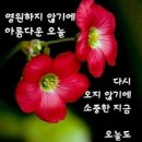 낑길라 이미지