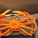 광성홍게장군 이미지