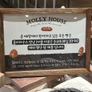 롯데백화점 명동 본점 팝업스토어 :: 몰리하우스 구황작물 바게트