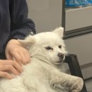 이츠펫 칠성점 이미지