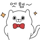 디엠메디컬 이미지