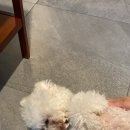 공산한우식육식당 이미지