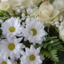 영문번역행정사사무소 이미지