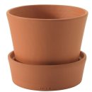 아울렛DC백화점 이미지