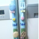 귀염댕이 이미지