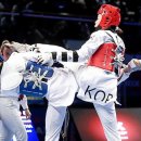 한국체대월드태권도 이미지