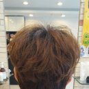 비땅기헤어 이미지