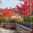 야! 놀자 PC | 화담숲 예약 2025 단풍 성수기 티켓팅 성공 모노레일 구간 정보