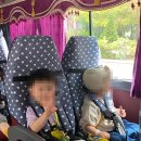 꿈터어린이집-놀이터 이미지