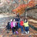 부여테마여행 이미지