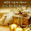 해운대 "북극곰 축제[2023년 12월 16일(음: 11월 4일)일출 7시 39분.일몰17시15분] 이미지