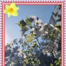 기술보급과 이미지