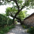 산청휴 투어코리아