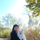 세븐일레븐 남양주송촌리점 이미지