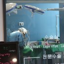 경산동물병원 이미지