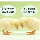 코오롱 노래연습장 이미지