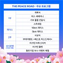 2025 지구런 : 더 피스 로드 완주 후기 | 여의도공원 문화의마당 마라톤 기부런