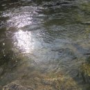 소진펜션 이미지