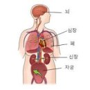 양수색전증 원인과 증상 치료는? 이미지