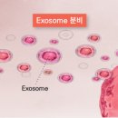 연세모에버의원 이미지