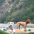 별마로빌리지민박 이미지