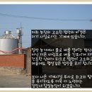 직접농사진 2011년산 햇흰찰보리쌀,신동진 5분도쌀,찰흑미 팝니다. 이미지