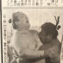 소코 Daum카페
