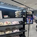 벨리곰 마케팅 캠페인 POP 이미지