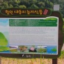 함안 대송리 늪지식물 이미지