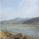 카페일라고 | 물왕저수지 브런치(전망 좋은 맛집 목감 카페일라고 후기 )